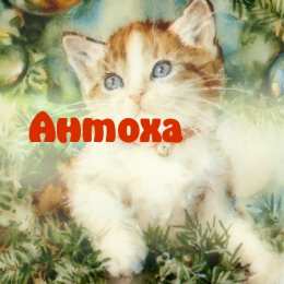 Открытки с именем Антон Анимационные открытки с именем Антон. Открытки с днём рождения Антон.