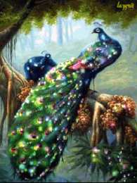 Открытки с павлинами Открытки с павлинами скачать бесплатно. Открытки с павлинами gif.