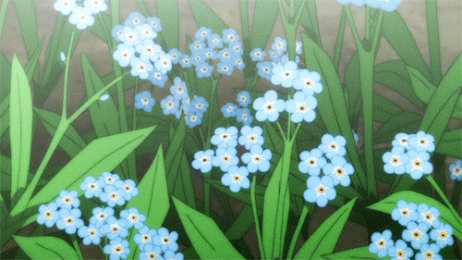 Открытки с незабудками  Открытки с незабудками бесплатно. Открытки с незабудками анимационные.