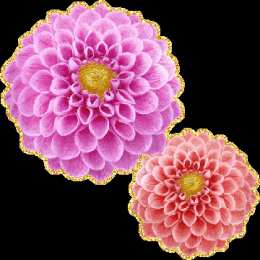 Открытки с георгинами  Открытки с георгинами скачать бесплатно. Открытки с георгинами онлайн.