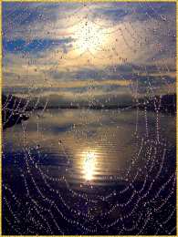 Открытки с паутиной  Открытки с паутиной с анимациями. Открытки с паутиной скачать.