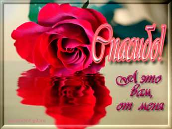 Открытки с благодарностью Красивые открытки с благодарностью. Открытки с надписью спасибо.