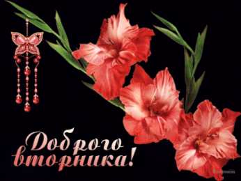 Открытки на вторник Открытки на вторник скачать. Открытки на вторник бесплатно онлайн.