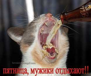 Открытки с пятницей Открытки с пятницей скачать. Открытки с пятницей с анимациями.