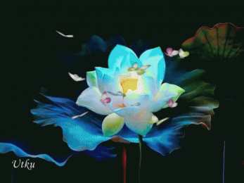 Открытки с лотосом  Открытки с лотосом анимационные. Блестящие открытки с лотосом.