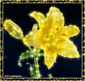 Открытки с желтыми лилиями  Открытки с желтыми лилиями gif. Открытки с желтыми лилиями скачать.