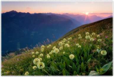 Открытки с цветочными полями  Открытки с цветочными полями с анимациями. Красивые открытки с цветами.