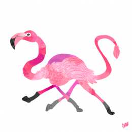 Открытки с фламинго Открытки с фламинго с анимациями. Открытки с фламинго скачать.