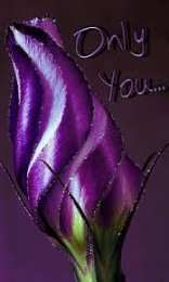 Открытки с каллами Открытки с каллами скачать бесплатно. Открытки с каллами онлайн.