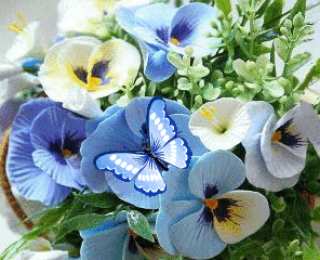 Открытки с разноцветными анютиными глазками  Открытки с разноцветными анютиными глазками скачать бесплатно.