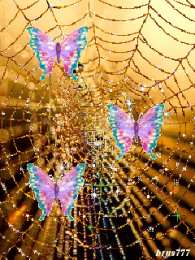 Открытки с паутиной  Открытки с паутиной с анимациями. Открытки с паутиной скачать.