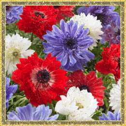 Открытки с анемонами  Открытки с анемонами скачать бесплатно. Открытки с анемонами онлайн.