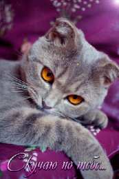 Открытки скучаю по тебе  Открытки скучаю по тебе с признанием скачать бесплатно gif.