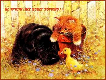 Открытки не грусти Открытки не грусти с пожеланиями скачать. Бесплатные Открытки не грусти.