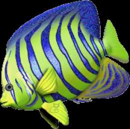 Открытки с рыбами  Открытки с рыбами скачать бесплатно. Открытки с рыбами gif. 