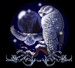 Открытки с совами  Открытки с совами скачать. Открытки с совами бесплатно онлайн.