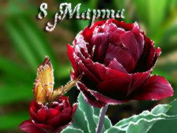 Открытки с 8 марта Международный Женский День Скачать Открытки с 8 марта. Поздравления Международный Женский День.