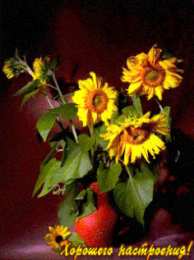 Открытки с подсолнухами Открытки с подсолнухами скачать бесплатно. Открытки с подсолнухами gif.