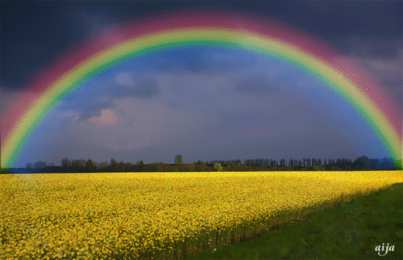 Открытки с радугой Открытки с радугой gif. Открытки с радугой скачать бесплатно.