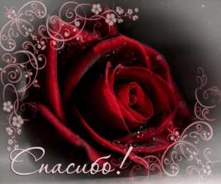 Открытки с благодарностью Красивые открытки с благодарностью. Открытки с надписью спасибо.