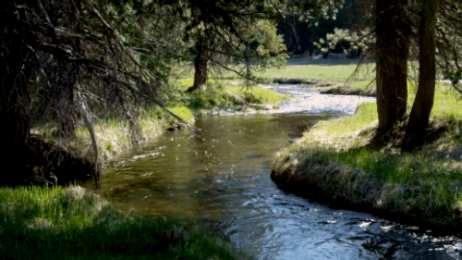 Открытки с ручьями  Открытки с ручьями с анимациями. Красивые открытки с ручьями.