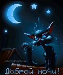 Открытки спокойной ночи Гифки с пожеланиями сладких снов с котиками
