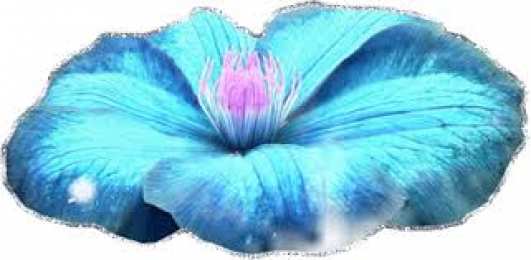 Открытки с вьюнками  Открытки с вьюнками анимационные. Открытки с вьюнками онлайн.