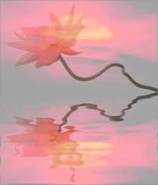 Открытки с лотосом  Открытки с лотосом анимационные. Блестящие открытки с лотосом.