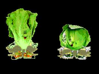 Открытки с овощами  Открытки с овощами gif. Открытки с овощами скачать бесплатно.