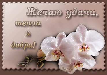 Открытки желаю удачи  Красивые анимационные открытки желаю удачи скачать бесплатно.