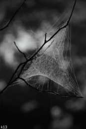 Открытки с паутиной  Открытки с паутиной с анимациями. Открытки с паутиной скачать.