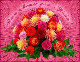 Открытки с георгинами  Открытки с георгинами скачать бесплатно. Открытки с георгинами онлайн.