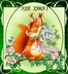 Открытки с белочками  Открытки с белочками gif. Скачать бесплатно открытки с белками.