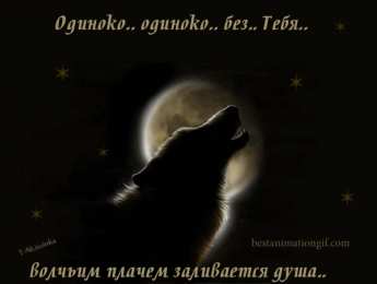 Открытки с волками Анимационные открытки с волками. Скачать открытки с волками gif.