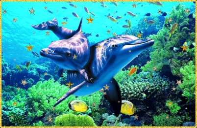 Открытки с дельфинами Открытки с дельфинами с анимациями. Открытки с дельфинами скачать.