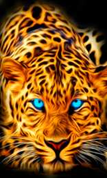 Открытки с леопардом Открытки с леопардом скачать. Открытки с леопардом бесплатно.