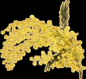 Открытки с мимозой  Открытки с мимозой скачать бесплатно. Открытки с мимозой онлайн.