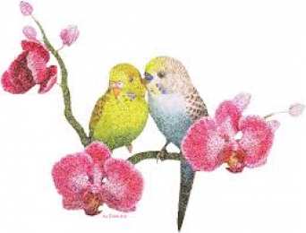 Открытки с попугаями  Открытки с попугаями скачать. Открытки с попугаями бесплатно.