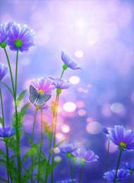 Открытки с космеями  Открытки с космеями анимационные. Открытки с космеями gif.  