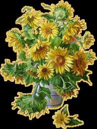 Открытки с подсолнухами Открытки с подсолнухами скачать бесплатно. Открытки с подсолнухами gif.