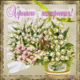 Открытки хорошего настроения Самые лучшие Открытки хорошего настроения скачать бесплатно.