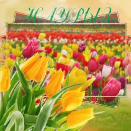 Открытки с Наурызом Анимационные открытки с праздником Наурыз скачать бесплатно.