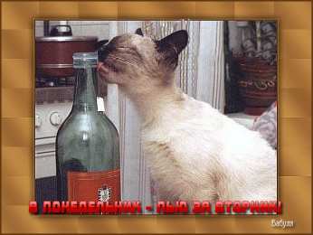 Открытки на вторник Открытки на вторник скачать. Открытки на вторник бесплатно онлайн.