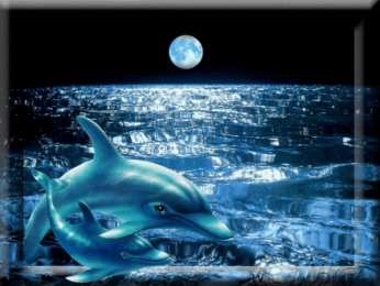 Открытки с дельфинами Открытки с дельфинами с анимациями. Открытки с дельфинами скачать.