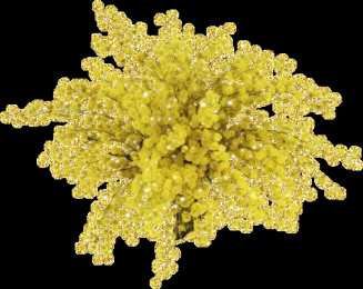 Открытки с мимозой  Открытки с мимозой скачать бесплатно. Открытки с мимозой онлайн.