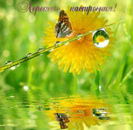 Открытки хорошего настроения Самые лучшие Открытки хорошего настроения скачать бесплатно.