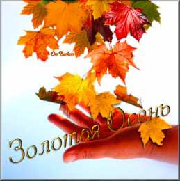 Открытки Золотая осень Открытки Золотая осень скачать бесплатно. Открытки Золотая осень gif.