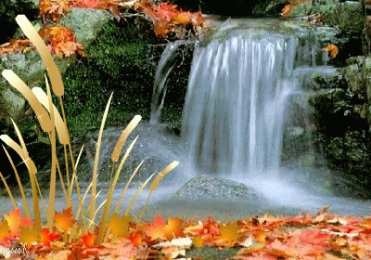 Открытки с водопадами  Открытки с водопадами скачать бесплатно. Открытки с водопадами gif.