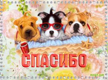 Открытки с благодарностью Красивые открытки с благодарностью. Открытки с надписью спасибо.