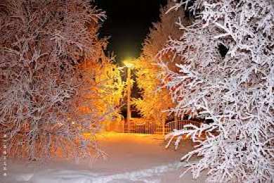 Открытки с инеем  Открытки с инеем скачать бесплатно. Открытки с инеем gif.     